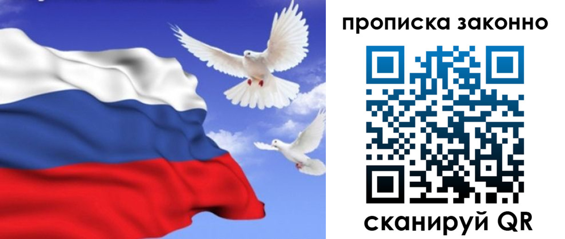 прописка в Судогде
